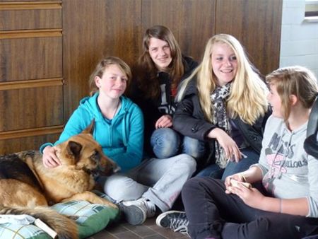Goed nieuws uit het asiel