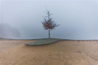 Golfterrein in de mist - Beringen