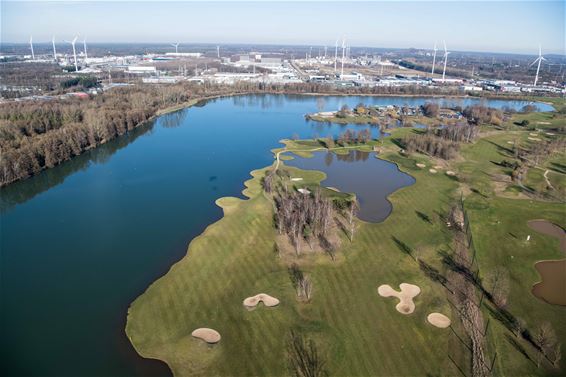 Golfterrein Paalse Plas - Beringen
