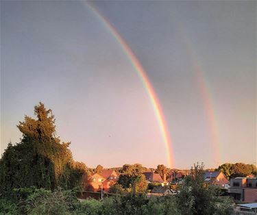 Goud aan de voet van de regenboog? - Pelt