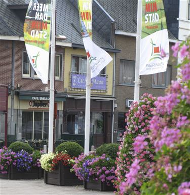 Goud voor bebloeming in Beringen - Beringen