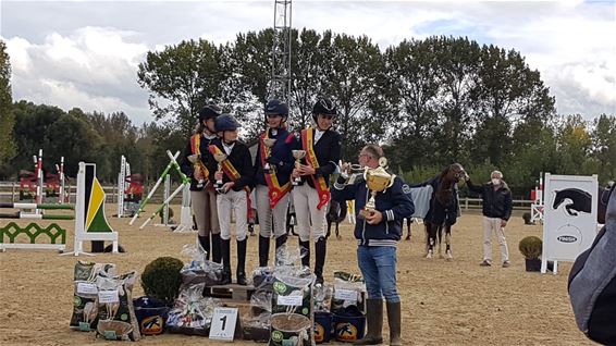 Goud voor De Paardenwinning Koersel - Beringen