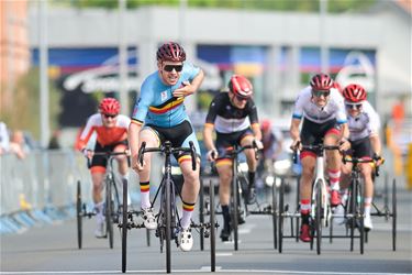 Goud voor Tim Celen - Beringen & Leopoldsburg