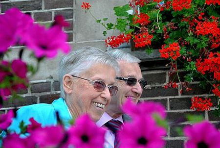 Gouden bruiloft in de Onderwijslaan - Neerpelt