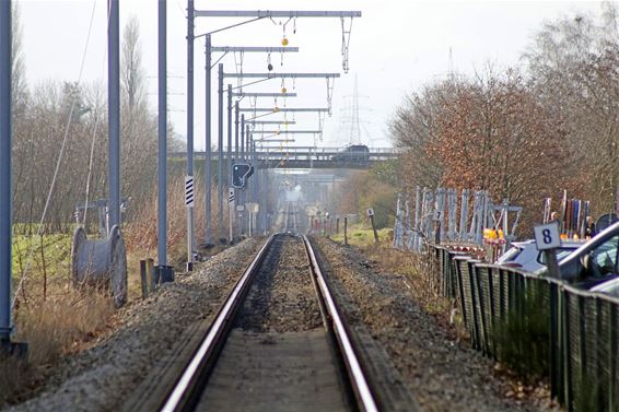 Graafwerken in de Heggestraat - Pelt