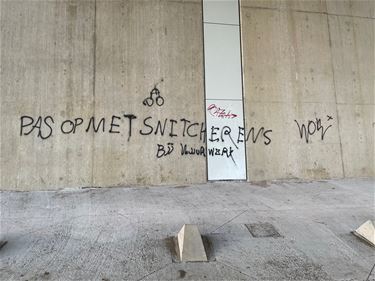Grafitti onder brug Tervant - Beringen