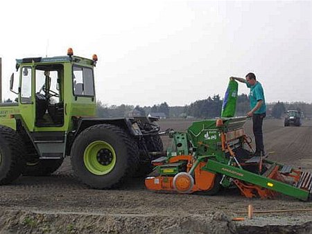 Gras ingezaaid op De Siggert - Hamont-Achel