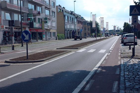 Gras op middenberm Koning Albertlaan - Neerpelt