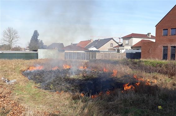 Grasbrand in de Hofweg - Pelt