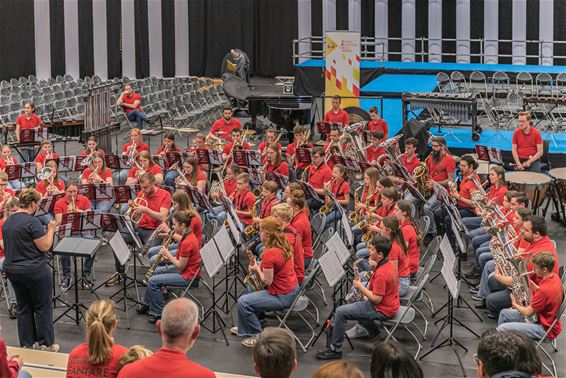 Gratis toegangsbadge voor Europees Muziekfestival - Hamont-Achel