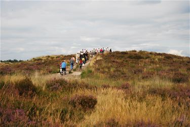 Gratis wandelkaarten Natuurpunt - Beringen