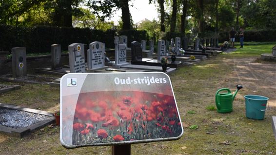 Graven van oud-strijders gepoetst - Beringen