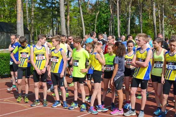 Green 10 miles onder blakende zon - Lommel