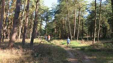 Grensparkwandelingen van start - Lommel