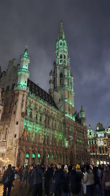 Grevenbroekers op de kerstmarkt in Brussel - Hamont-Achel
