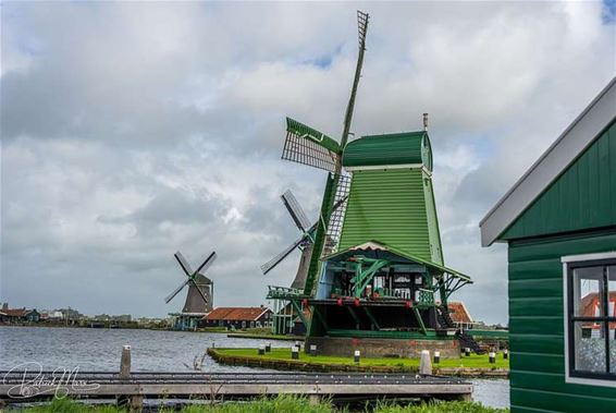 Grevenbroekers trokken naar Zaanse Schans - Hamont-Achel