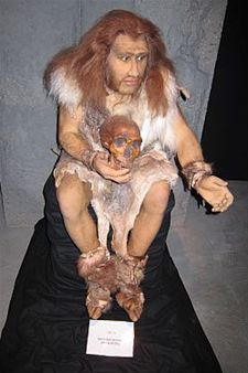 Grevenbroekmuseum koopt neanderthalerpop - Hamont-Achel