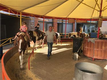 Pony's mogen nog even blijven op kermis - Beringen