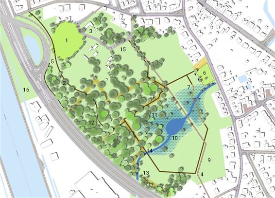 Groen Beringen stelt plan voor Broekhovenpark voor - Beringen