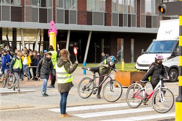 Groen Beringen zet in op meer verkeersveiligheid - Beringen