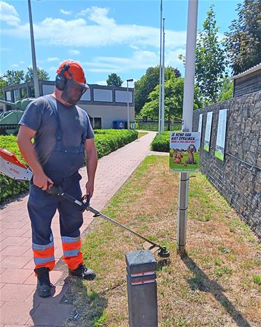 Groendienst houdt Hechtel-Eksel groen en netjes - Hechtel-Eksel