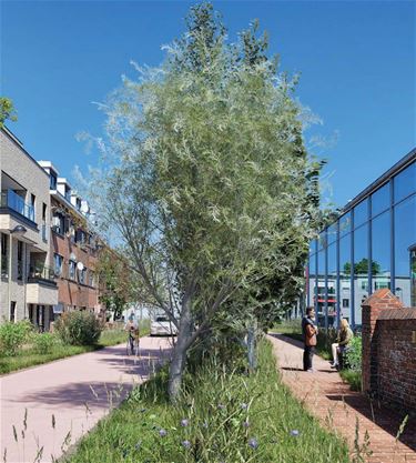 Groene Gordel Wal maakt centrum groener (1) - Hamont-Achel