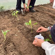 Groene vingers in de maak! - Bocholt