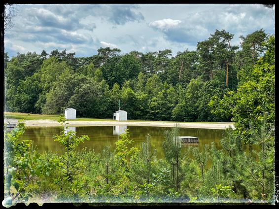 Groene wandelroute Koersel - Beringen