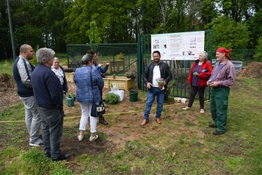 Groene wijk nog groener - Beringen