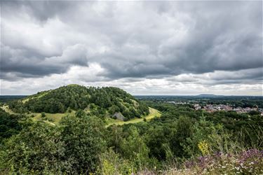 Groener dan groen - Beringen