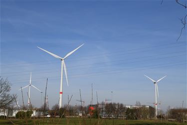 Groepsaankopen zijn niet altijd goedkoper - Beringen