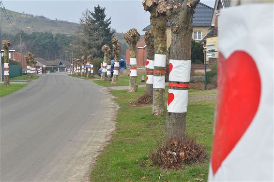 Groeten uit de Valentijnstraat - Beringen