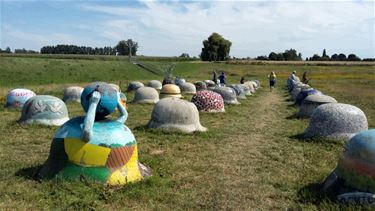 Groeten uit Halen - Beringen