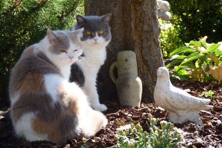 Groeten uit Neerpelt - Neerpelt