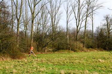 Gronden van Stad Beringen zijn nog jachtgebied - Beringen