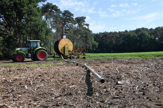 Grondwaterpeil nog altijd te laag - Leopoldsburg