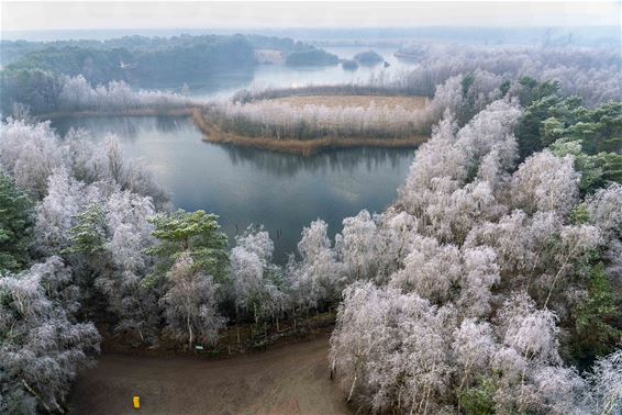 Groot aanbod natuurfoto's... - Lommel