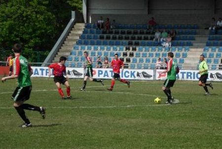 Grote Heide wint - Neerpelt