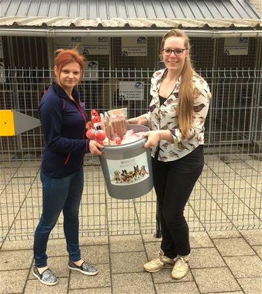 Grote inzamelactie voor dierenasiel Sint-Truiden - Beringen