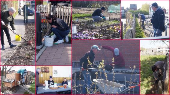 Grote lenteopruiming in tuinpark De Hofkens - Hamont-Achel