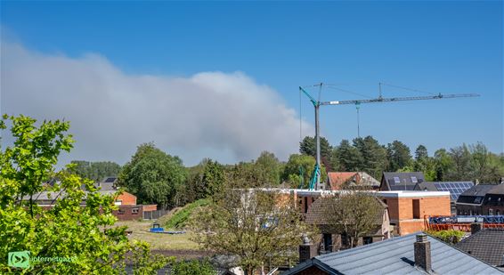 Pelt - Grote natuurbrand in Weert