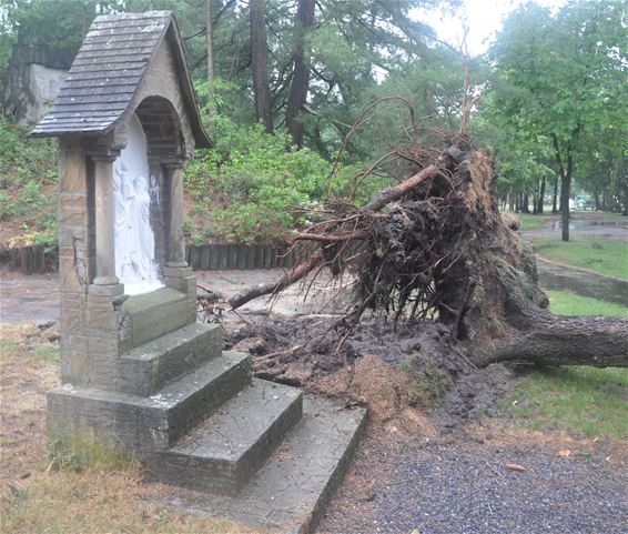 Grote schade door onweer in Mariapark - Lommel