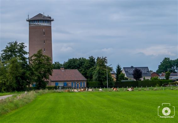 Grote spoelwerken in het lokale waternet - Hamont-Achel & Pelt