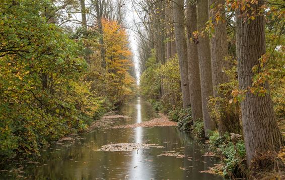 Grote veranderingen in de natuur - Lommel