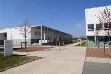 Grote zorg om haalbare opstart scholen - Beringen