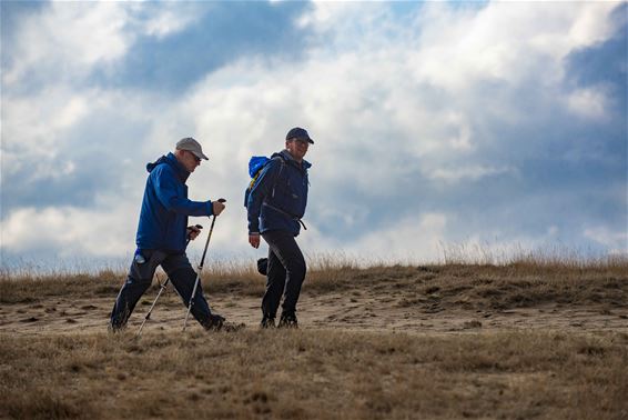 Guur weer voor Boslandtrail - Lommel