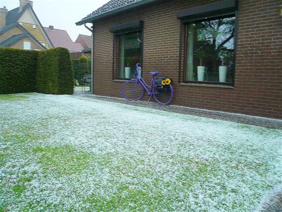 Hagel in mei - Peer