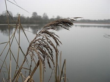Hageven is een tweesterrenplekje - Neerpelt