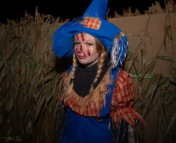 Bree - Halloween in Bree: griezelen, speuren en smullen!