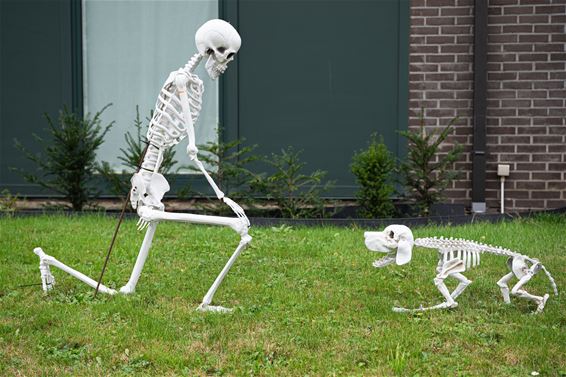 Halloween is helemaal in - Beringen & Leopoldsburg